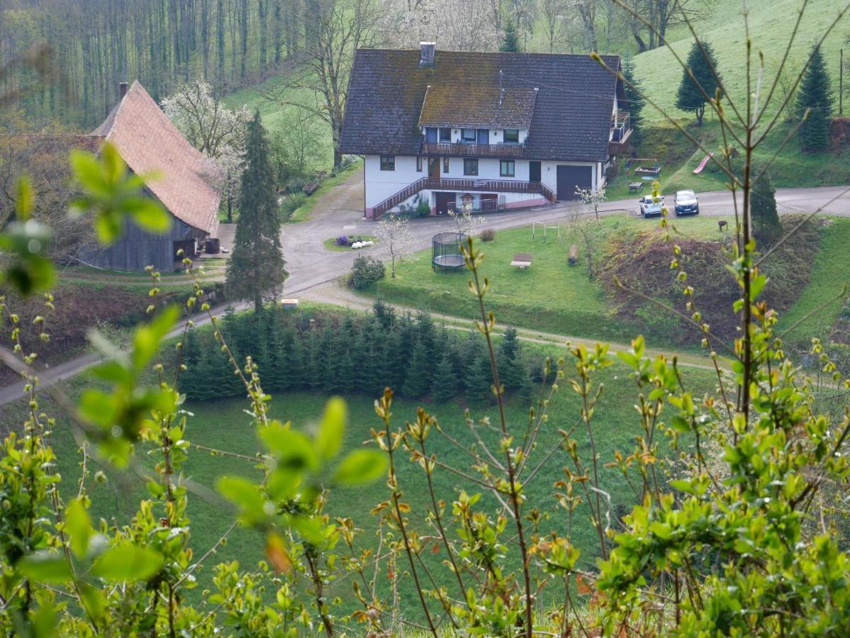 Buehlbauernhof Villa Bad Peterstal-Griesbach Ngoại thất bức ảnh